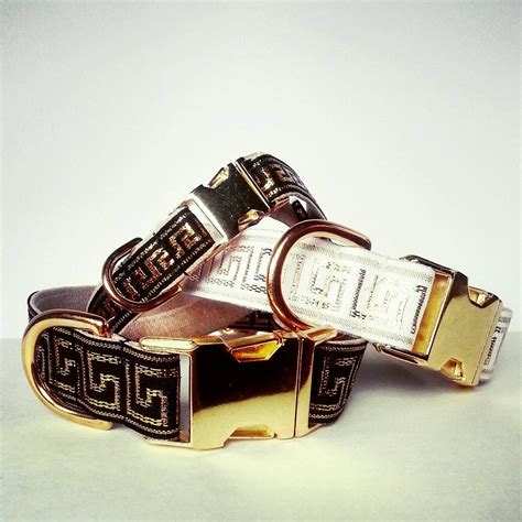 versace greek key dog collar|versace dog harness.